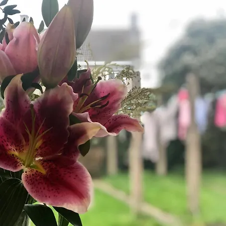 アパート Charming, Modern Masonette In Heart Of River Town *