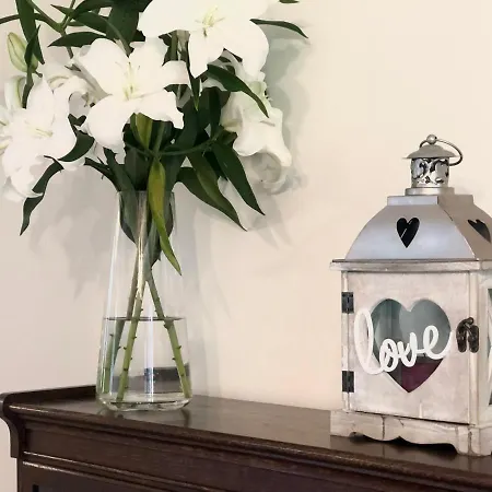 Charming, Modern Masonette In Heart Of River Town Apartment *